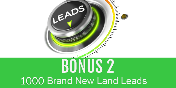 1000 Leads